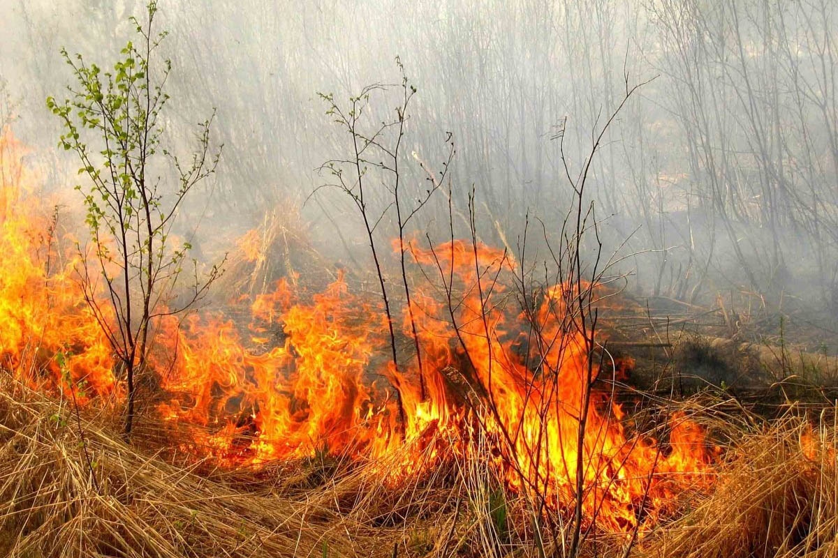 МЧС предупредило жителей Коми о высокой опасности возникновения пожаров