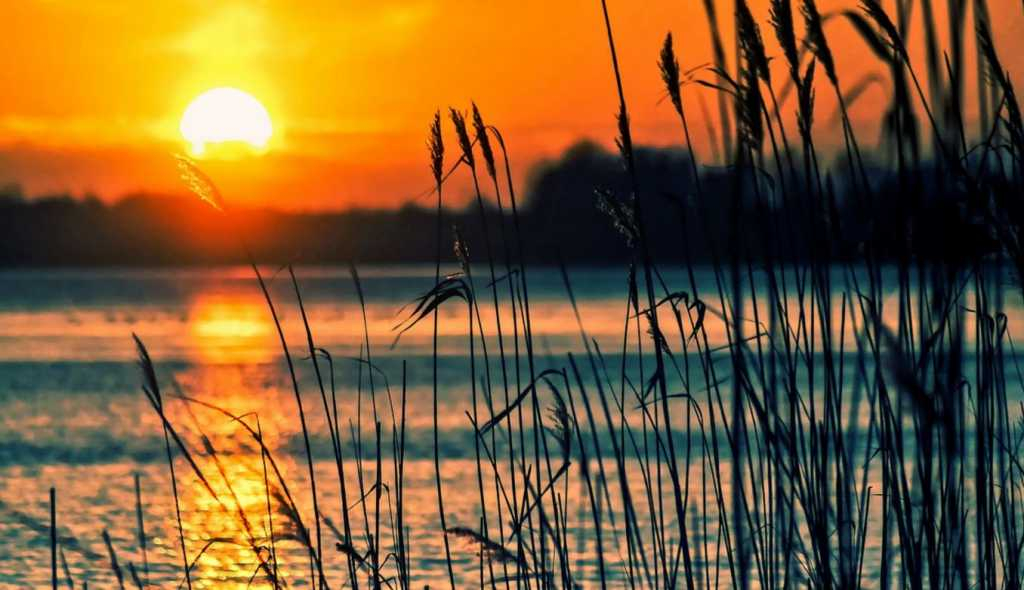 Прохладно и облачно: погода в Сыктывкаре на 7 августа