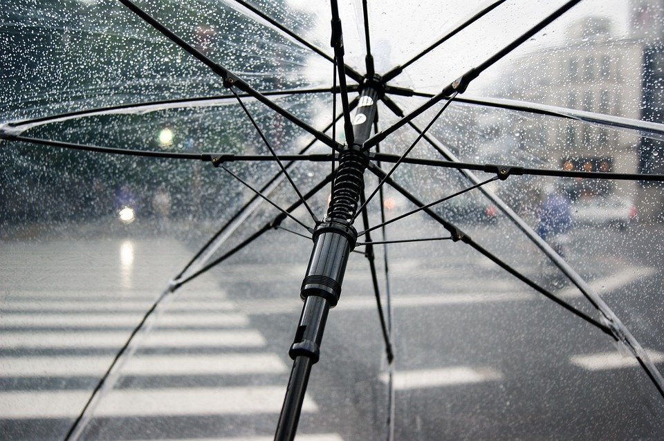 В Коми придут дожди: погода на рабочей неделе изменится