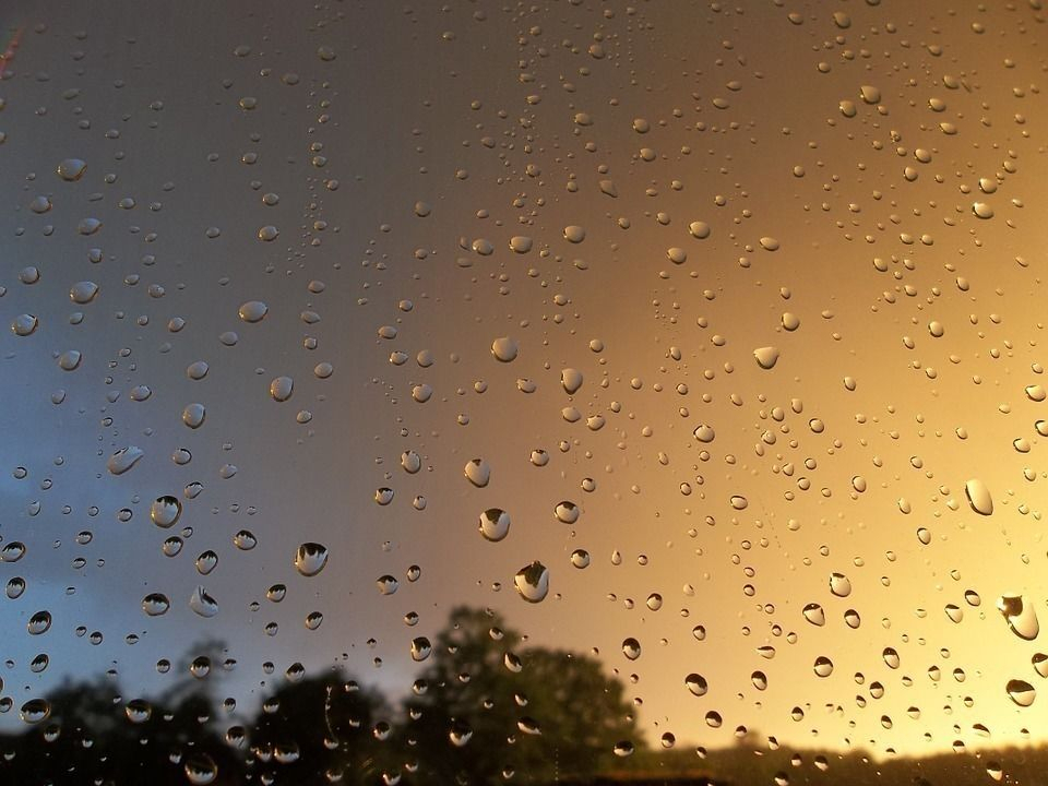 Дожди и грозы: погода в Сыктывкаре на 23 августа