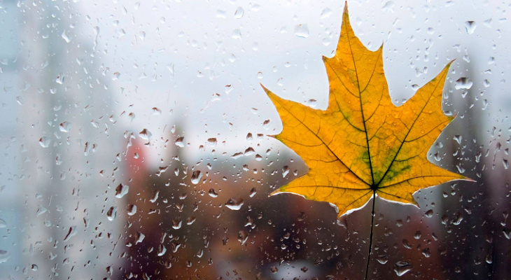 Небольшие дожди и северный ветер: погода в Сыктывкаре на 25 августа