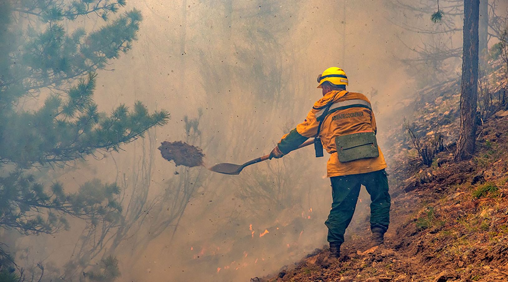 В Коми уже неделю тушат лесной пожар