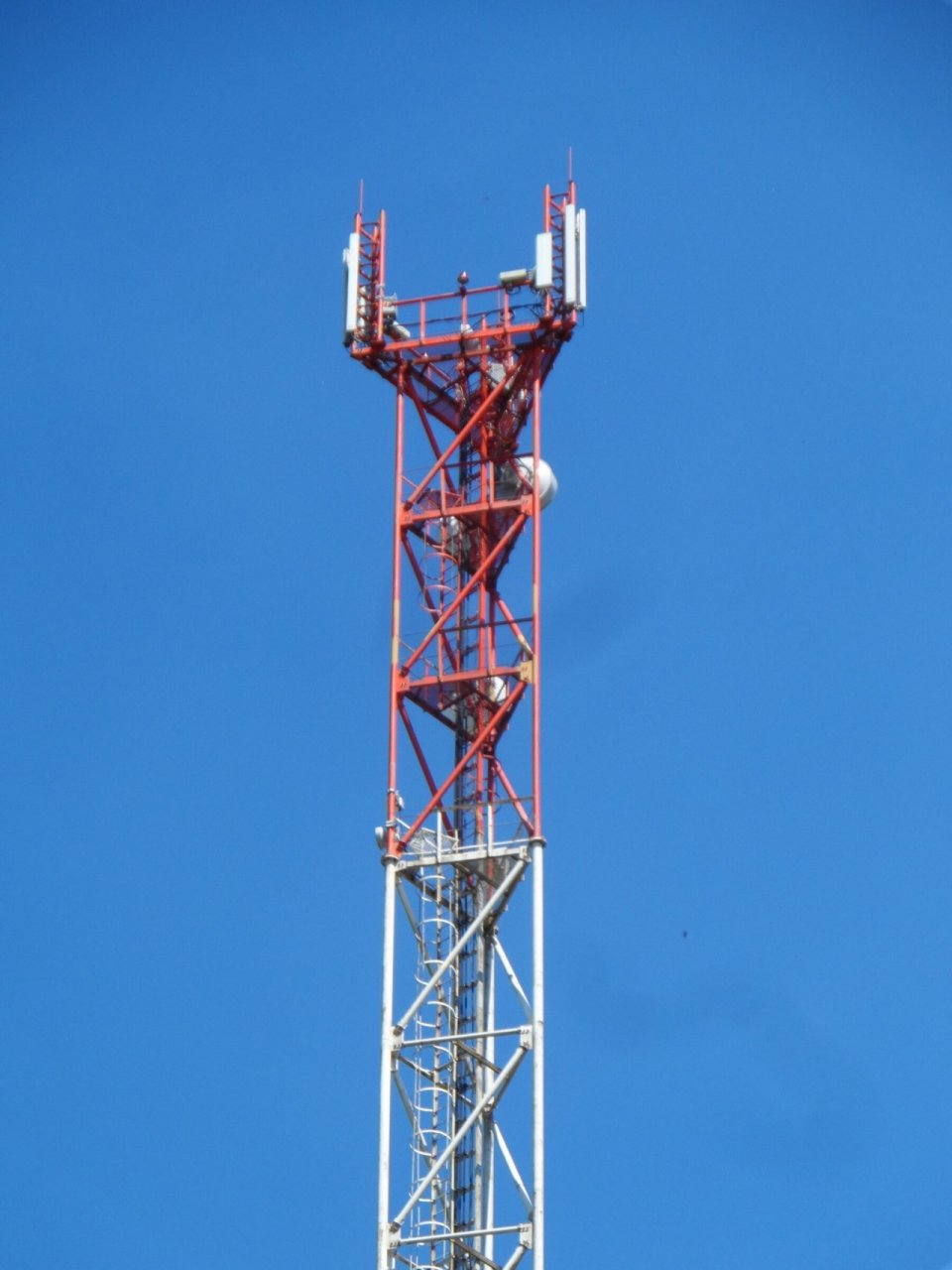 Башня зла: из-за вышки сотовой связи в Сыктывкаре жители дачных участков остались без света