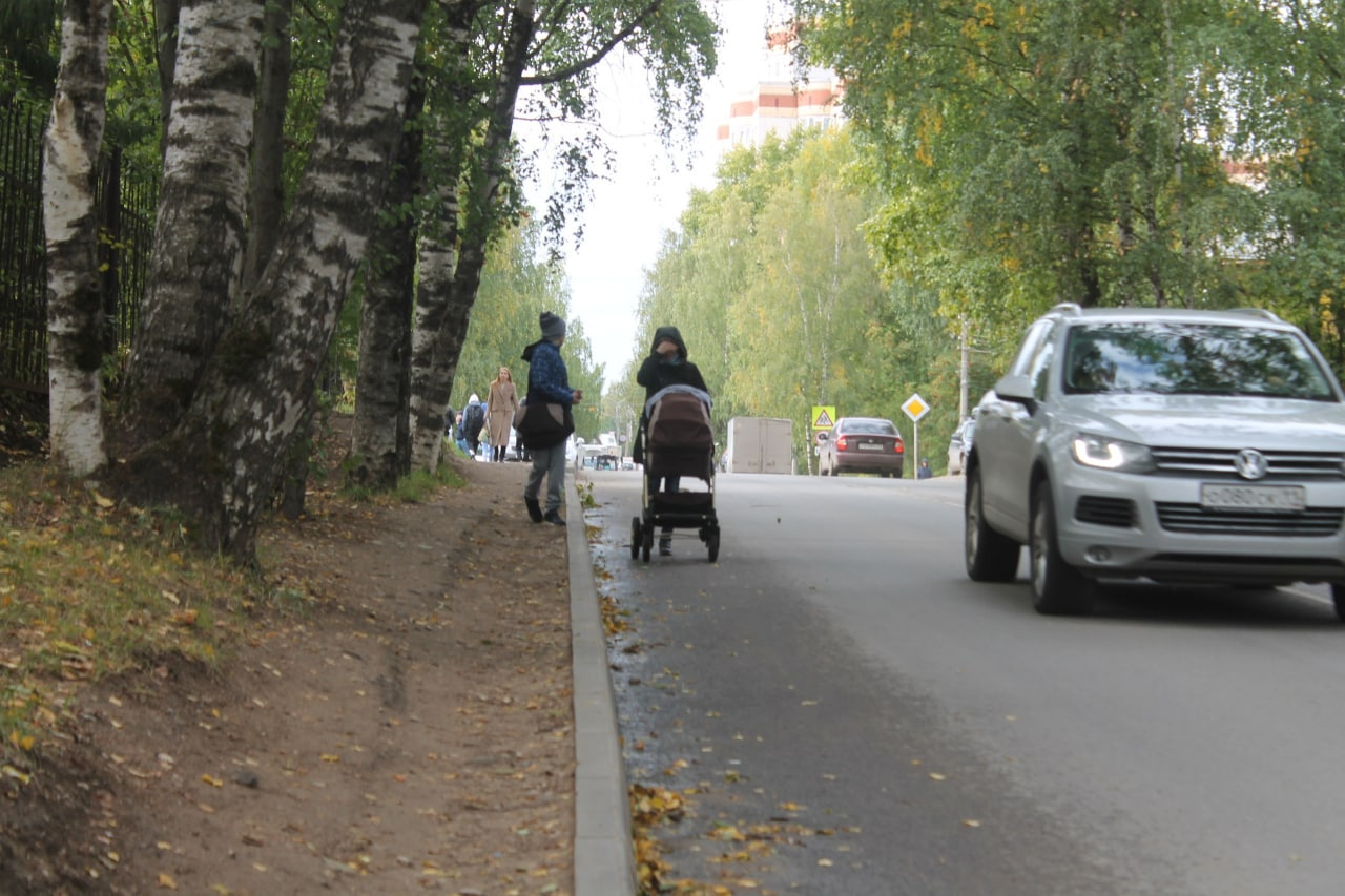 В Сыктывкаре решили вырубить деревья на Кутузова ради тротуара