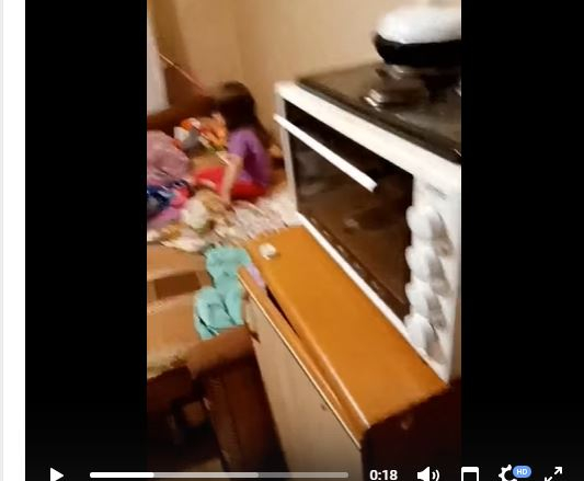 В Сыктывкаре пьющая мать кормила дочь едой с тараканами