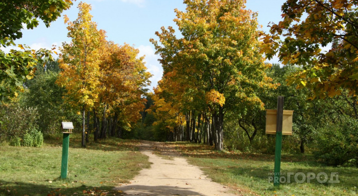 Прогноз: какая погода будет в Коми с октября по март