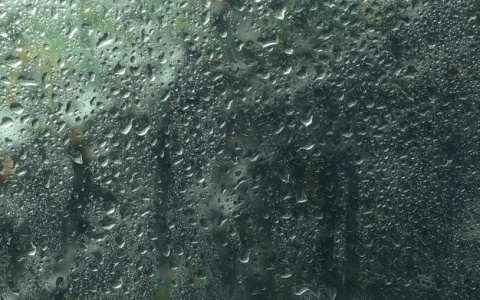 Мокро и холодно: синоптики рассказали о погоде в Коми на выходных