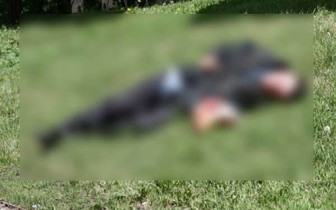 Убийцей вахтовика в Коми может быть волк