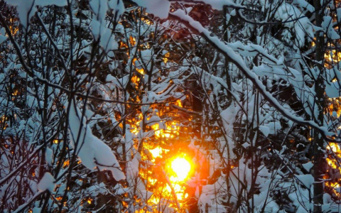 Погода в Сыктывкаре на 31 января: теплый воскресный день