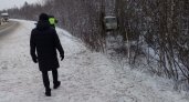 В Коми в кювет съехал автобус с 19 пассажирами