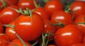 Врач рассказала, какие помидоры могут быть смертельно опасны