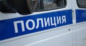 Полиция Сыктывкара ищет водителя, который звал детей в машину