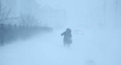 На 8 районов Коми обрушится метель: в МЧС объявили штормовое предупреждение