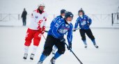 Эксперты и болельщики рассказали о том, как спасти сыктывкарский хоккейный клуб Строитель