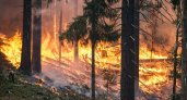 В Коми начинается пожароопасный сезон