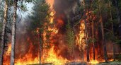 В Коми произошел первый в 2022-году лесной пожар