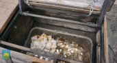 Сыктывкарцы скопили в "купеческом сундуке" 34 тысячи рублей