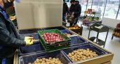 За неделю в Коми подорожали три популярных продукта