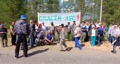 "Второй Шиес": жители Коми устроили пикет с плакатами в защиту леса Язеля и Пычима