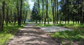 "Одни комары и железо": эжвинцы жалуются на благоустройство Менделеевского парка