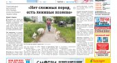 Сыктывкарская газета новостей от 23 июля