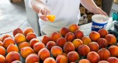 Эксперты рассказали, кому опасно есть персики