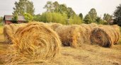 В Коми от удара молнии у фермера сгорело 140 тонн сена