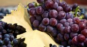 Диетолог рассказала, кому опасно есть виноград