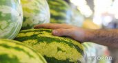 Эксперт рассказал, как выбрать сладкий арбуз и спелую дыню