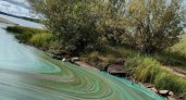 В Минприроды раскрыли причину позеленения воды под Краснозатонским мостом в Сыктывкаре