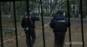 В Коми пенсионерка отдала деньги человеку в маске, чтобы спасти дочь от наказания за ДТП
