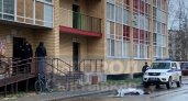 Стали известны подробности о сыктывкарце, который насмерть упал с высоты