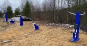 В Сыктывкаре установили пять тренажеров посреди голой земли и деревьев