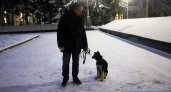 Хозяин погибшего на СВО пса Сармата взял к себе на попечение нового щенка