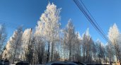 Мороз и снег: прогноз погоды на 6 декабря в Коми