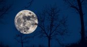 Не накликайте беду: чего категорически нельзя делать в "холодное" полнолуние 8 декабря