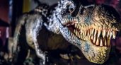 В Сыктывкаре произойдет “вторжение динозавров”: куда сходить на новогодних каникулах
