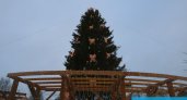 Пушистые и высокие: какие елки устанавливали на главной площади Сыктывкара в прошлые года