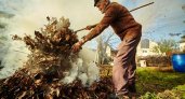 В России изменятся правила сжигания мусора на дачах