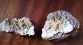 В Коми продают метеорит за 10 миллионов рублей