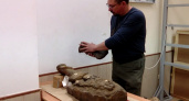 В Коми нашли целый скелет морского динозавра юрского периода