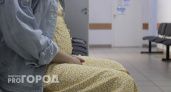 В Коми единое пособие на детей будут получать 1508 беременных