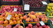 Жители Коми съедают за год около 49 килограмм фруктов 