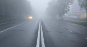 Погода в Коми 14 сентября: туман и до +20° 