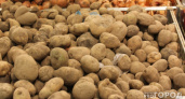 У дачников Коми гниет картошка: как спасти урожай