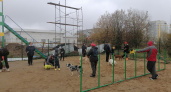 В Сыктывкаре открылась новая площадка для выгула собак