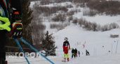 Сыктывкарцы рискуют лишиться горнолыжного центра "Зеленецкие Альпы"
