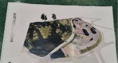 В Сыктывкаре разрабатывают проект бетонного скейт-парка в Орбите
