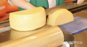 "Кусок пальмы": Роскачество назвало сыр, который лучше обходить стороной