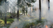 Республика Коми готовится к пожароопасному сезону в лесах